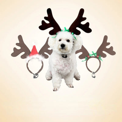 Reindeer Antlers & Santa Hat For Pets